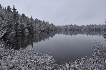 The carré lake in winter , Sainte-Apolline, Québec, Canada