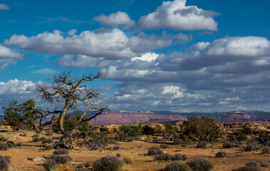 Amazing nature in the Canyonland. Sky, clouds and rocks in the beautiful harmony