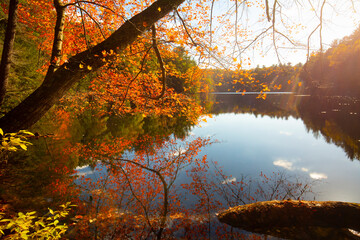 Fall colors around Spring Pond in Granby, Connecticut.