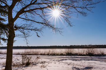 Sonnenstern mit Silhouette vom Baum in winterlicher Landschaft im Emsland