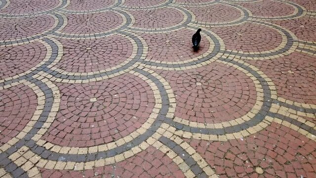 Pavement pattern of a sidewalk in a city