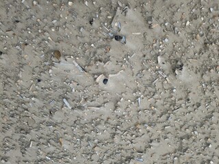Sandformation am Strand von Jütland
