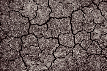 Dry cracked earth. Cracked soil texture. Land with dry and cracked ground. Background.