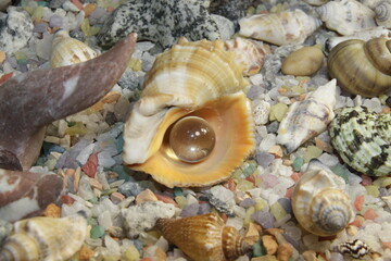 transparent ball in a shell and stones of different breeds and shapes