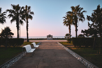 Palm trees at promenade of Batumi, Adjara, Georgia. Path with benches. Silhouettes of palm trees in the sunset light.