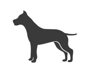 Staffordshire terrier silhouette. American danger fighting dog, vector icon