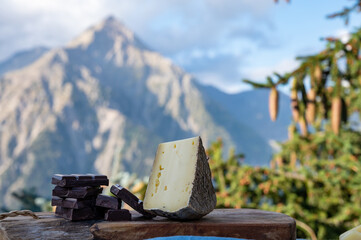 Cheese collection, French tomme de savoie or tome des bauges cheese and dark chocolate served...