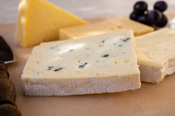 French cheese collection on marble board, emmental, carre de aurillac, petit cantal AOP Jeune, buche chevre, brie