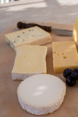 French cheese collection on marble board, emmental, carre de aurillac, petit cantal AOP Jeune, buche chevre, brie