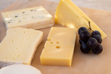 French cheese collection on marble board, emmental, carre de aurillac, petit cantal AOP Jeune, buche chevre, brie