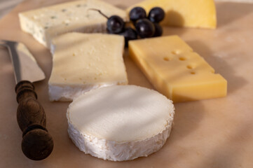 French cheese collection on marble board, emmental, carre de aurillac, petit cantal AOP Jeune, buche chevre, brie