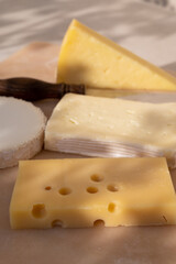 French cheese collection on marble board, emmental, carre de aurillac, petit cantal AOP Jeune, buche chevre, brie
