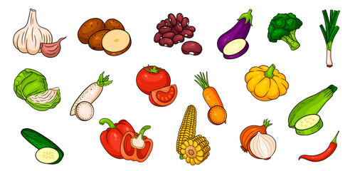 Vector vegetables icons in cartoon style. Big set.