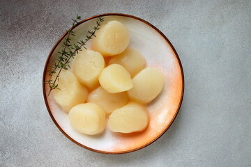 Fresh seafood, raw scallops on a plate close up selective focus