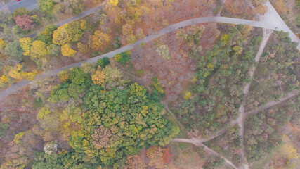 Walkways and footpaths in the city park in autumn. Leaf fall in the park. Aerial view.