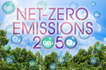 European Union sets new climate law: net-zero emissions are now a target for 2050 - Carbon...