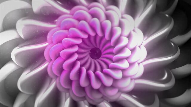Abstract pink and silver fractal flower with moving petals. Motion. Beautiful hypnotic slow transformation of gradient flower, seamless loop.
