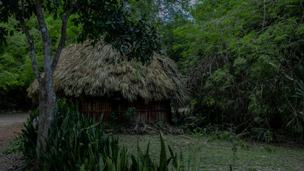 Fototapeta na wymiar hut in the jungle forest