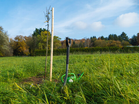 Gartenequipment vor Setzling