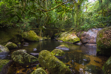 Obraz premium View of some beautiful water ponds at Ilha Grande - Ilha Grande, Angra dos Reis, Brazil