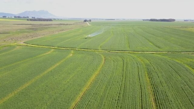  crop, sprayer, cropduster, crop, duster, plane, pesticide, herbicide, control, dangerous, farming, flight, toxic, airplane, crop, chemical, low, plane, spraying, aircraft, aviation,