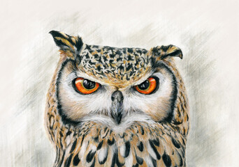 hand drawn illustration of an eagle-owl