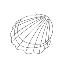  sea shell drawning contour vector illustration