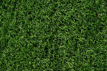 Green grass surface game field background