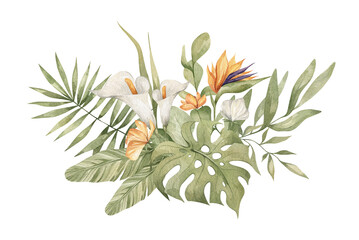 Watercolor bouquet with bright tropical leaves and flowers. Strelitzia, calla lilies, monstera leaf. Jungle floral arrangements. Hand-drawn botany set. Modern tropical isolated elements.