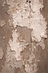 The texture of the old cracked paint. The wall is wooden, painted with white paint.