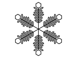 snowflake winter black isolated  icon silhouette