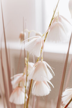Вried flowers
