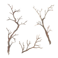 Watercolor tree branches. Tree twigs without leaves silhouette isolated on white background. Clipart illustration