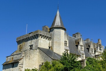 Les toits du ch&acirc;teau de Montsoreau 