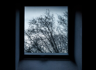 Fenster Aussicht auf einen Baum