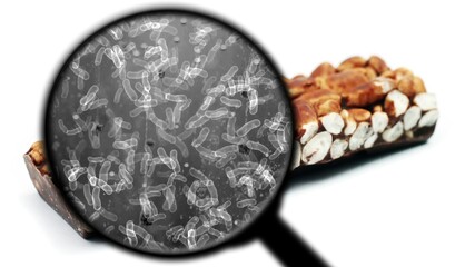 Searching for bacteria in sweets