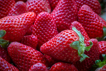 close up of strawberries macro image with bright colors