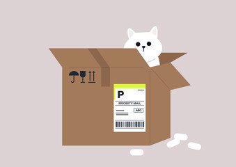 A funny cat sitting in a parcel cardboard box, delivery service