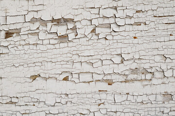 Painted Cracked Timber Wallpaper. Gray Cracked Timber Wallpaper.