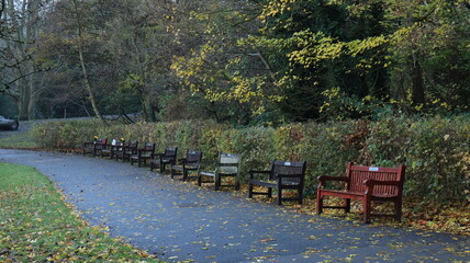 Waterlow Park, North London at golden hour