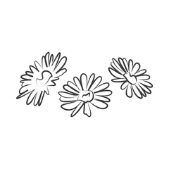 Fototapeta premium Silhouettes feminine linear graphics cosmetics object chamomile