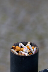 Lots of cigarette stubs crammed into the trash can post. The main subject stands out against a blurred background
