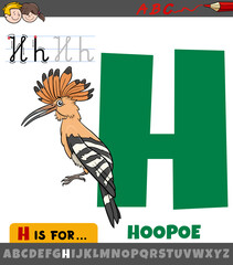letter H from alphabet with cartoon hoopoe bird © Igor Zakowski
