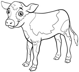 calf farm animal comic character coloring book page