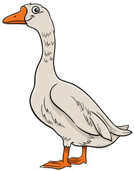 cartoon goose bird farm animal character © Igor Zakowski