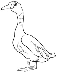 cartoon goose bird farm animal character coloring book page