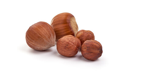 Hazelnut. Fresh organic filbert nut, isolated on white background.