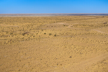 Panorama of Kyzyl Kum desert. Sands with remnants of spring vegetation are visible ahead, and saline soils lie behind them. Dirt road crosses the landscape. Shot in Karakalpakstan, Uzbekistan