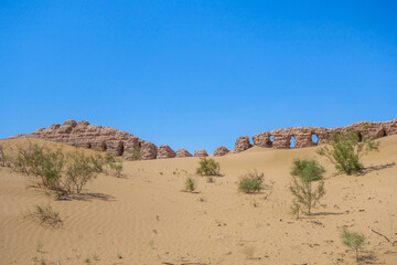 Saxaul bushes and sands hide walls of Janbas Kala fortress in Kyzylkum desert, Karakalpakstan, Uzbekistan. Original height of walls was 10 m. Fortress founded in IV century BC, abandoned in I century