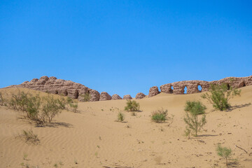 Saxaul bushes and sands hide walls of Janbas Kala fortress in Kyzylkum desert, Karakalpakstan, Uzbekistan. Original height of walls was 10 m. Fortress founded in IV century BC, abandoned in I century